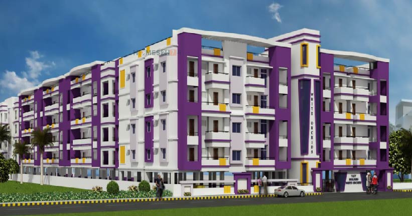 VSV White Orchids Cover Image